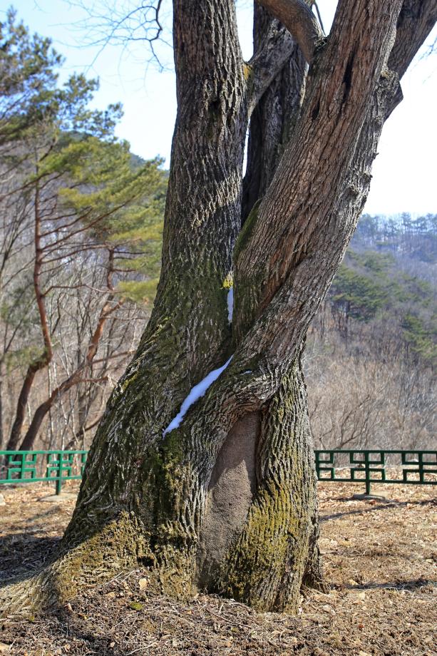 문화재대관