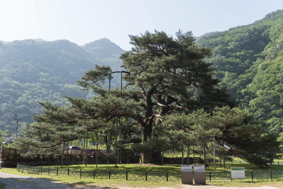 문화재대관