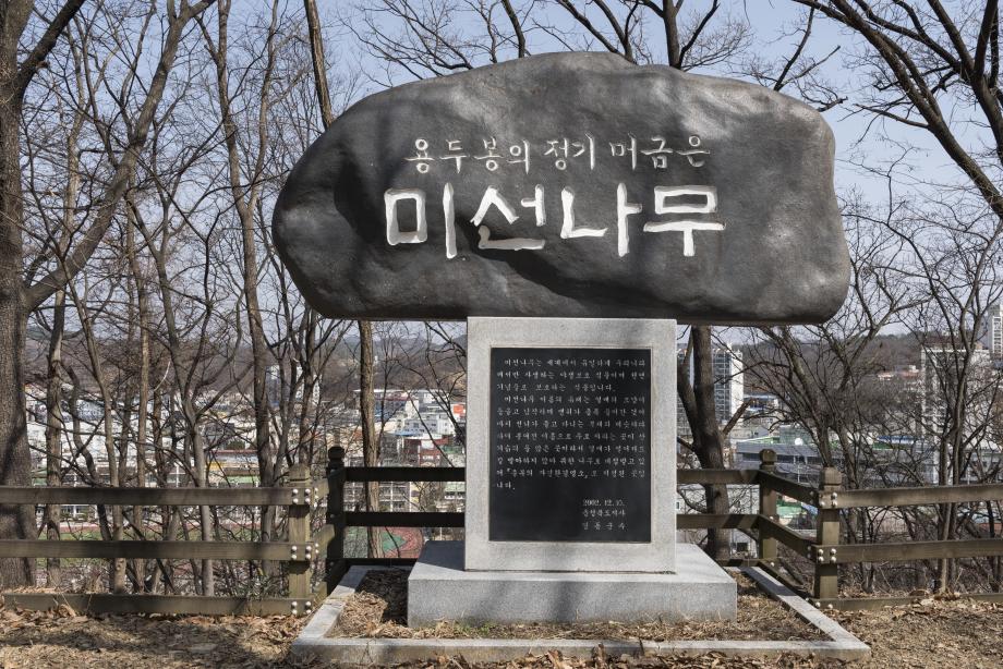 문화재대관