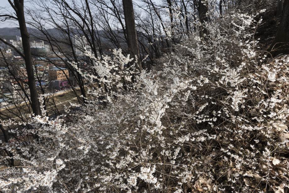 문화재대관