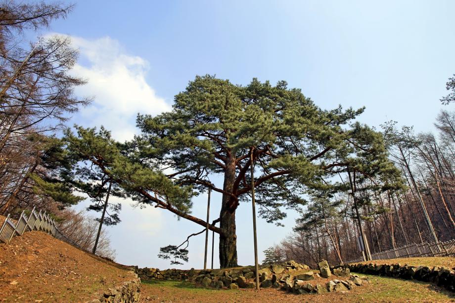 문화재대관