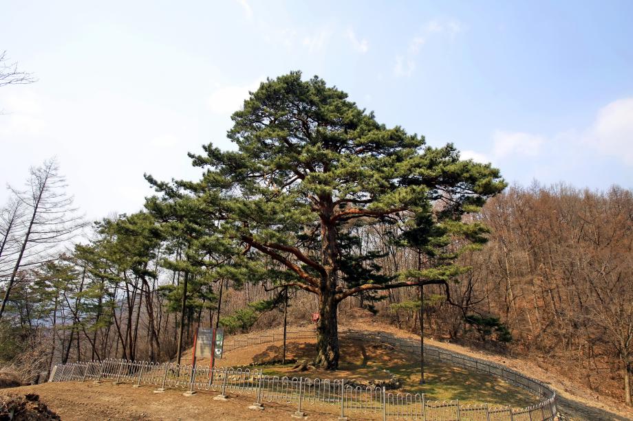 문화재대관