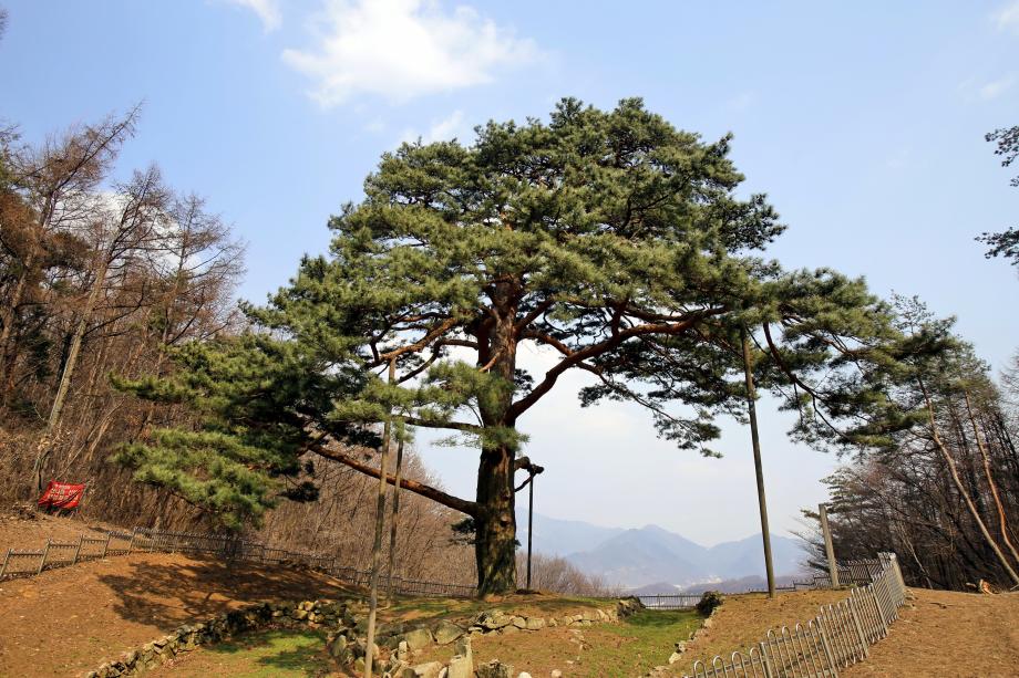 문화재대관