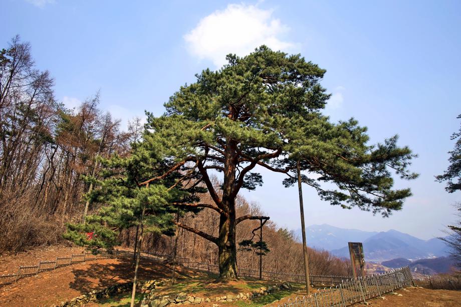 문화재대관