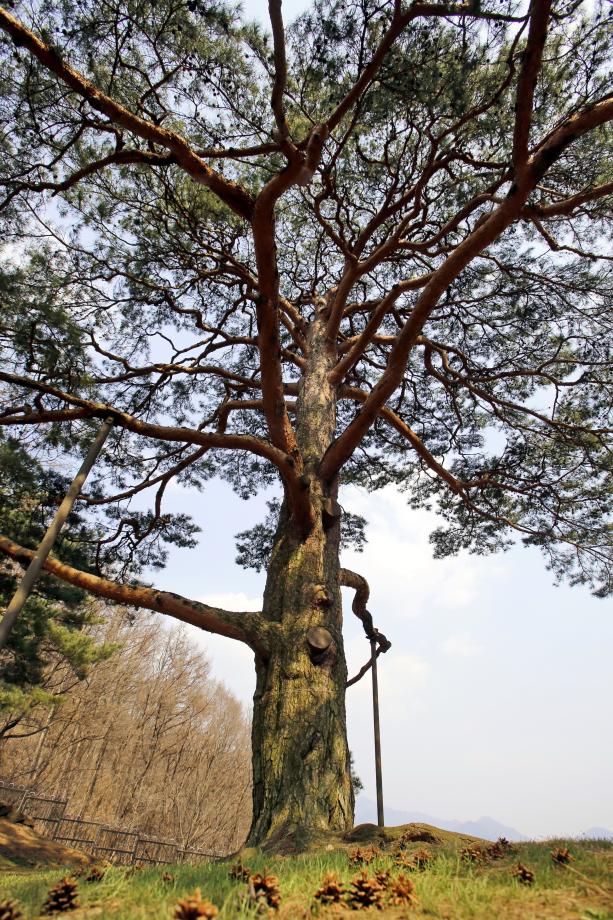 문화재대관