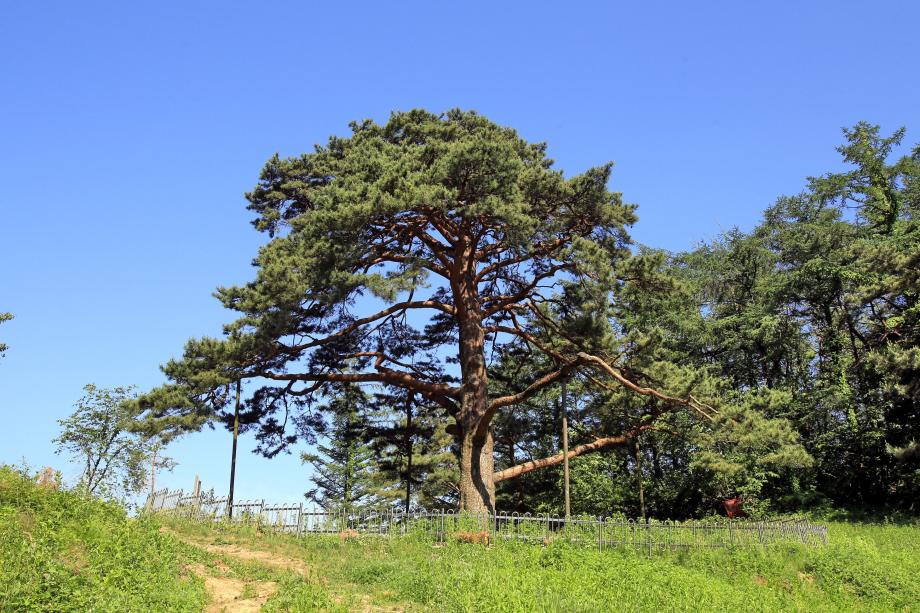 문화재대관