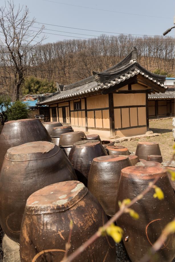 문화재대관