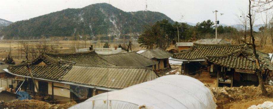 문화재대관