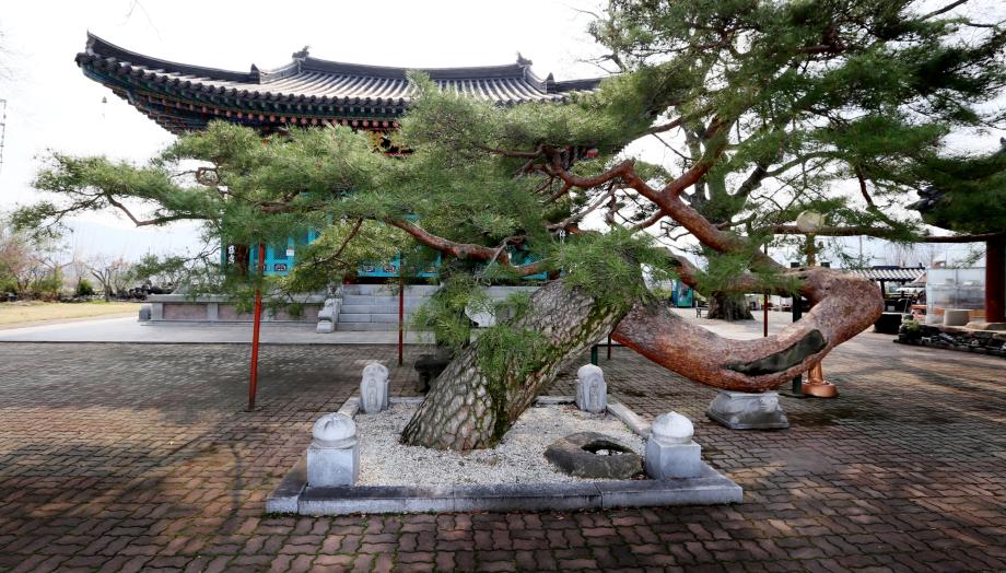 문화재대관