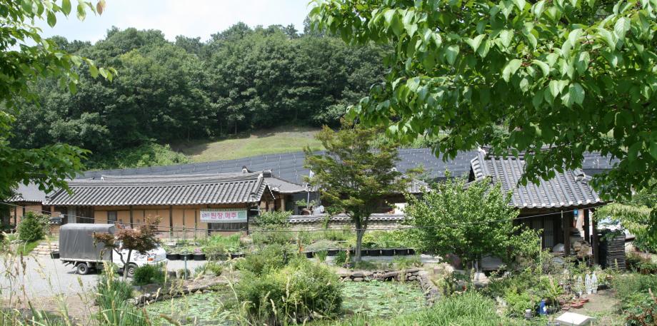 허용기준 연구