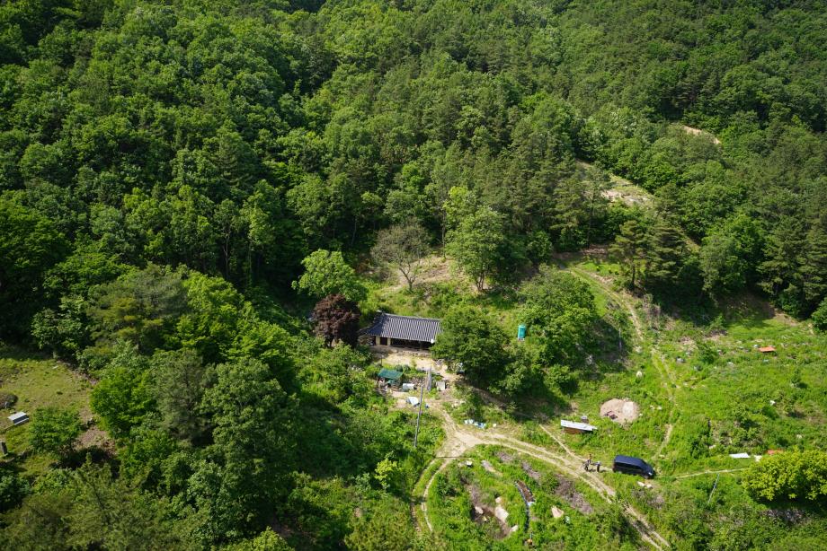허용기준 연구