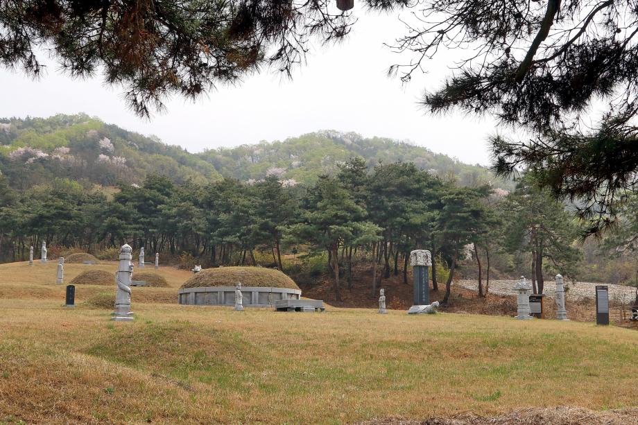 문화재대관