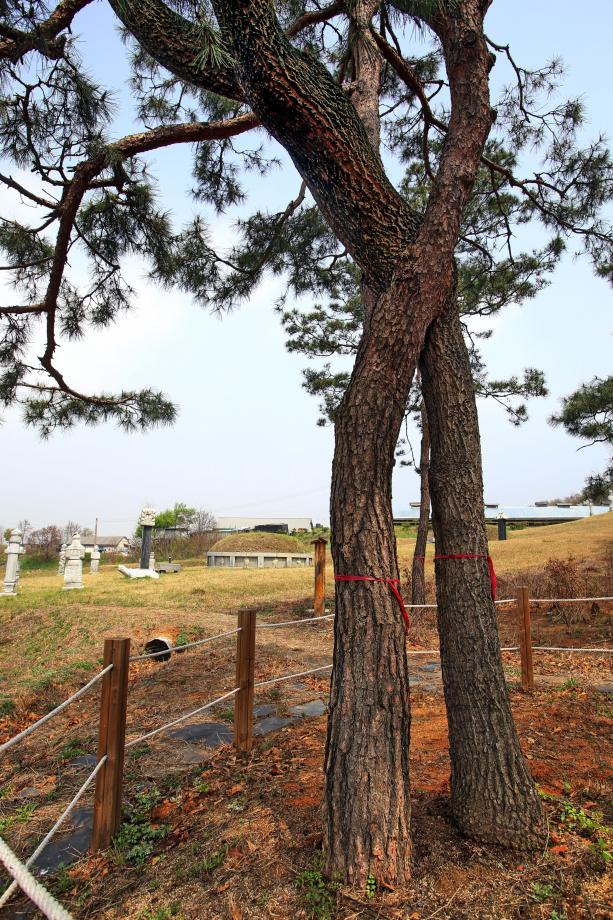 문화재대관