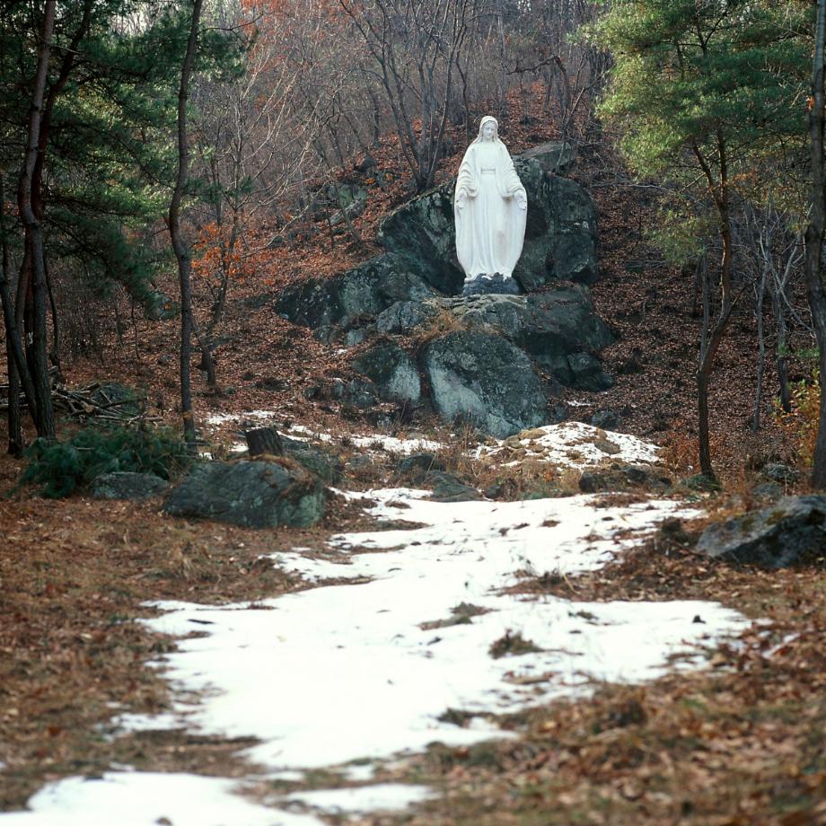 문화재대관