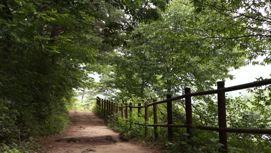 충북의 자연유산과 그 미래 이미지