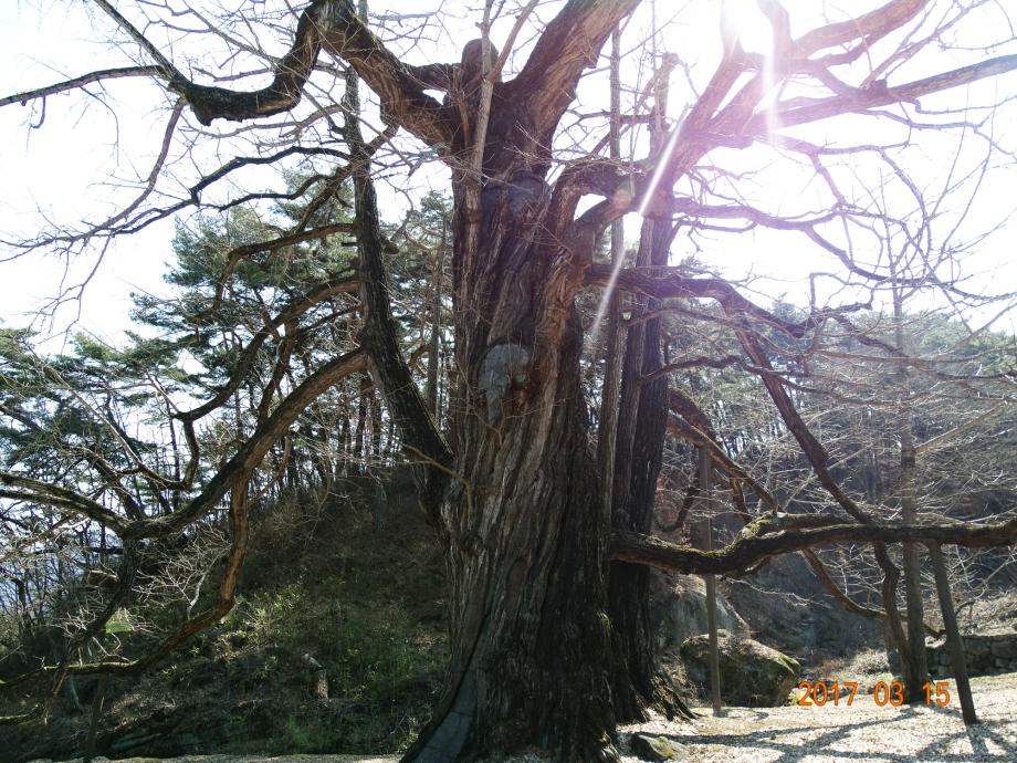 충청북도 문화재돌봄사업
