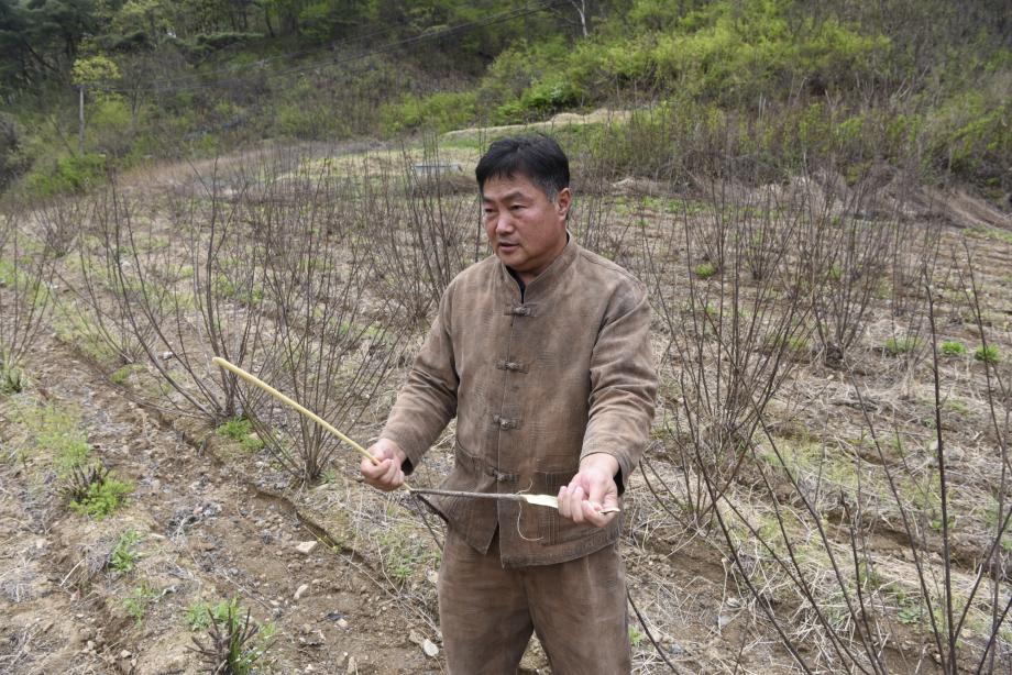 충청북도 지정문화재(무형) 정기조사