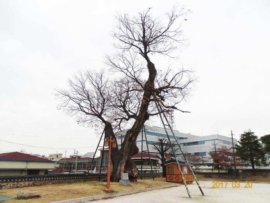 충청북도 문화재돌봄사업