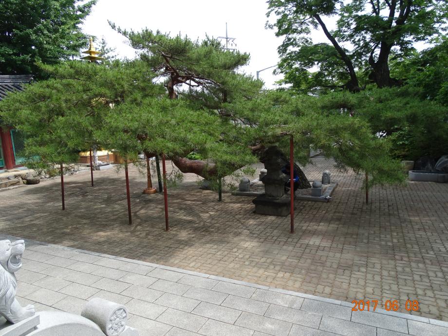 충청북도 문화재돌봄사업