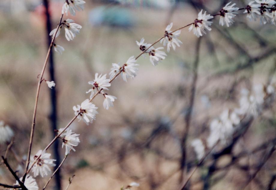 충북 문화재 사진