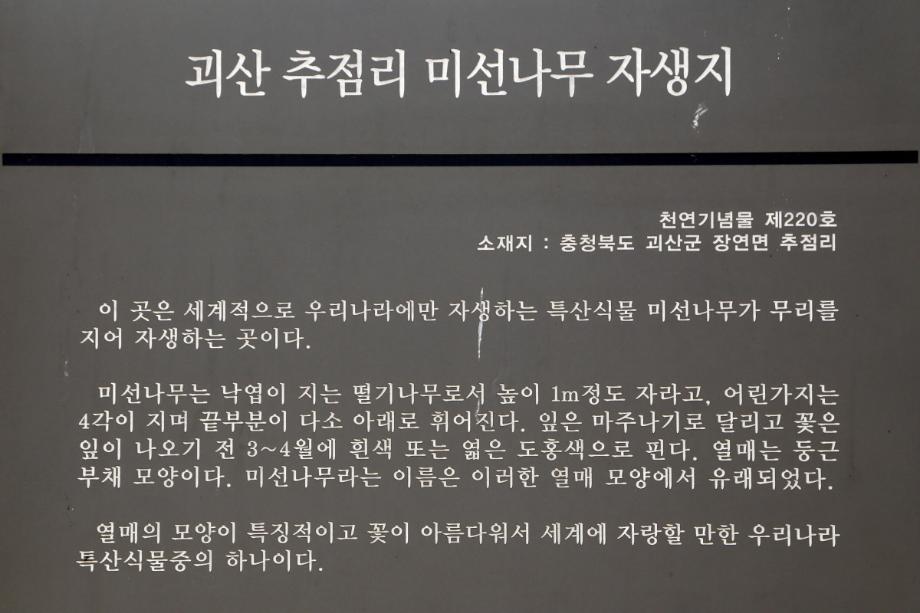 문화재대관