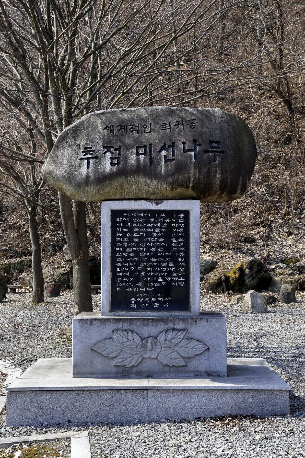 문화재대관
