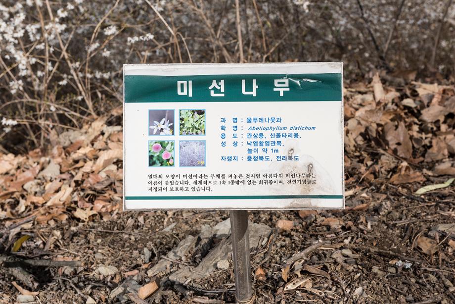 문화재대관